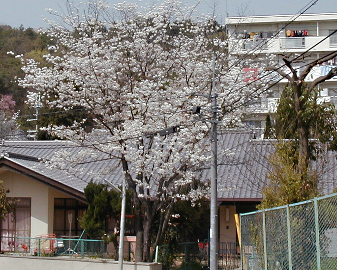 別棟