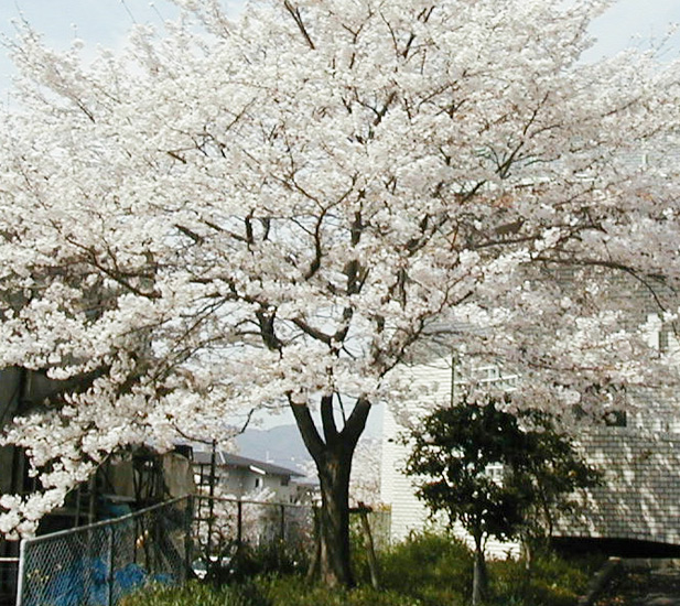 生理検査室横
