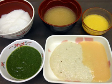 ミキサー食(学会分類:2-1)