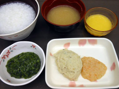ブレンダー食(学会分類:2-2)